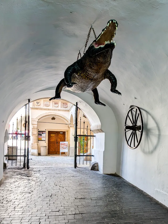 捷克-布爾諾-舊市政廳