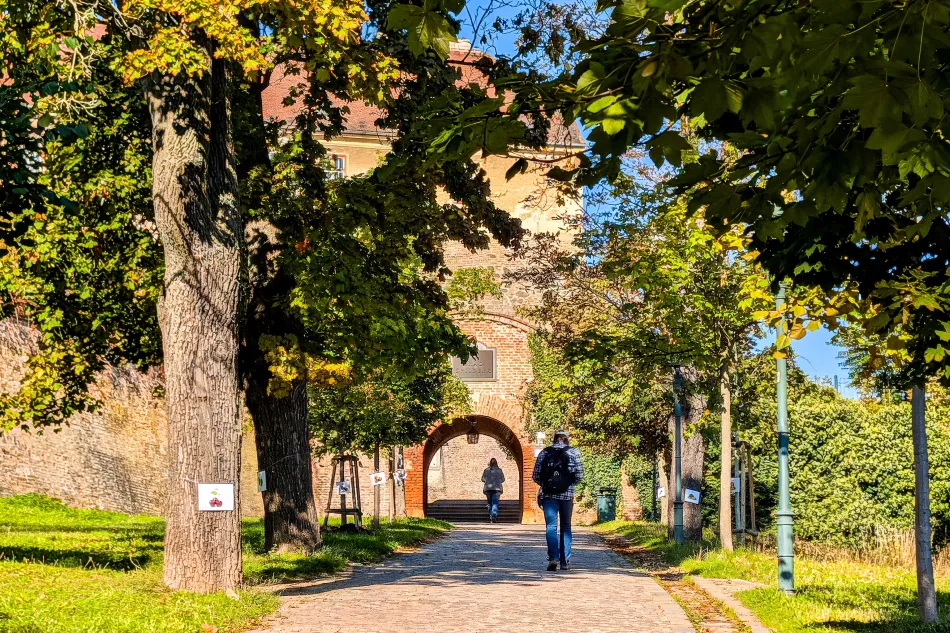 捷克-布爾諾-斯皮爾博城堡