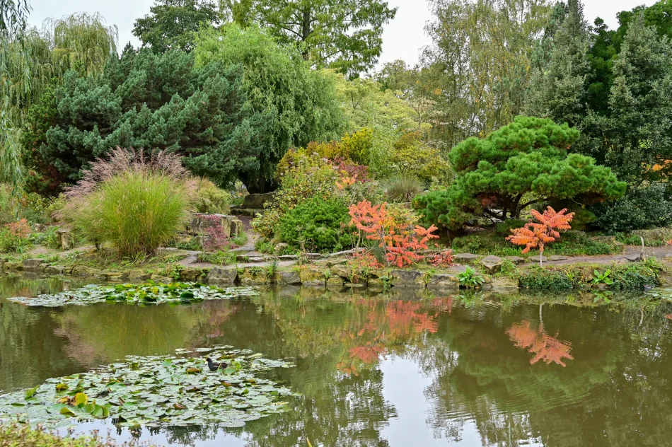 英國-倫敦-攝政公園