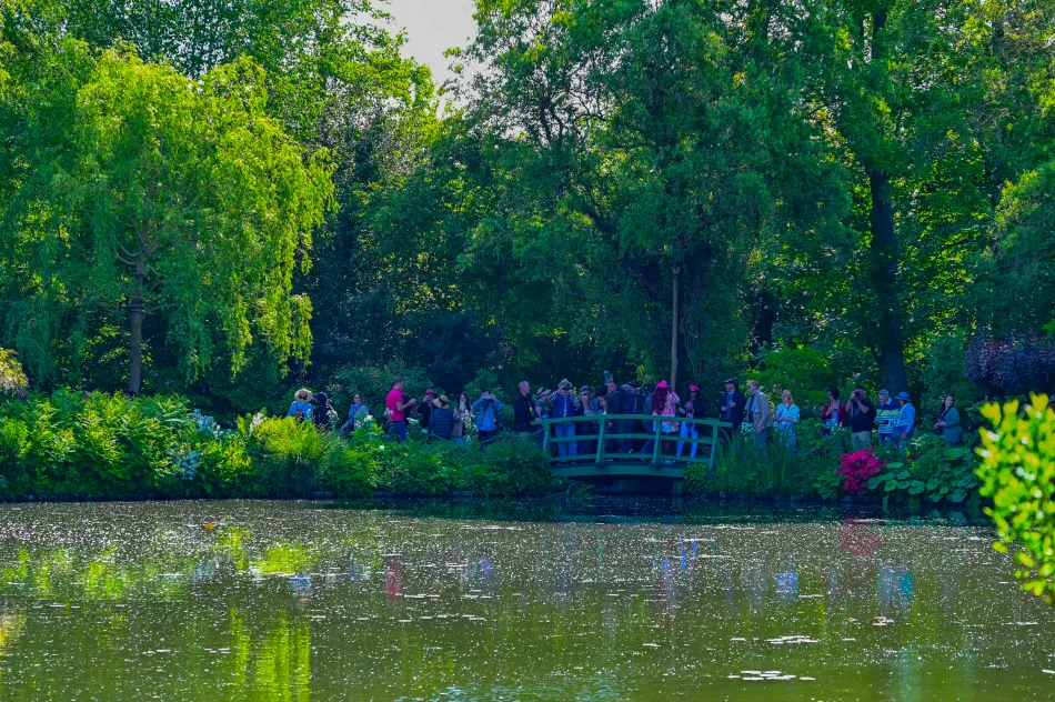 法國-吉維尼-莫內花園的水花園