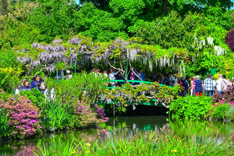 法國-吉維尼-莫內花園的水花園