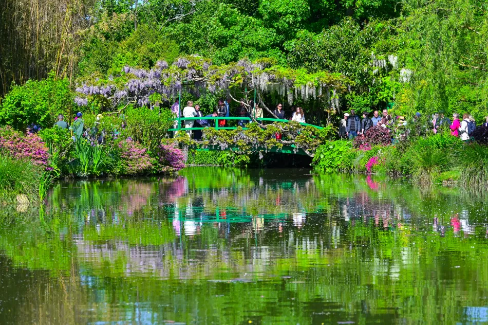 法國-吉維尼-莫內花園的水花園