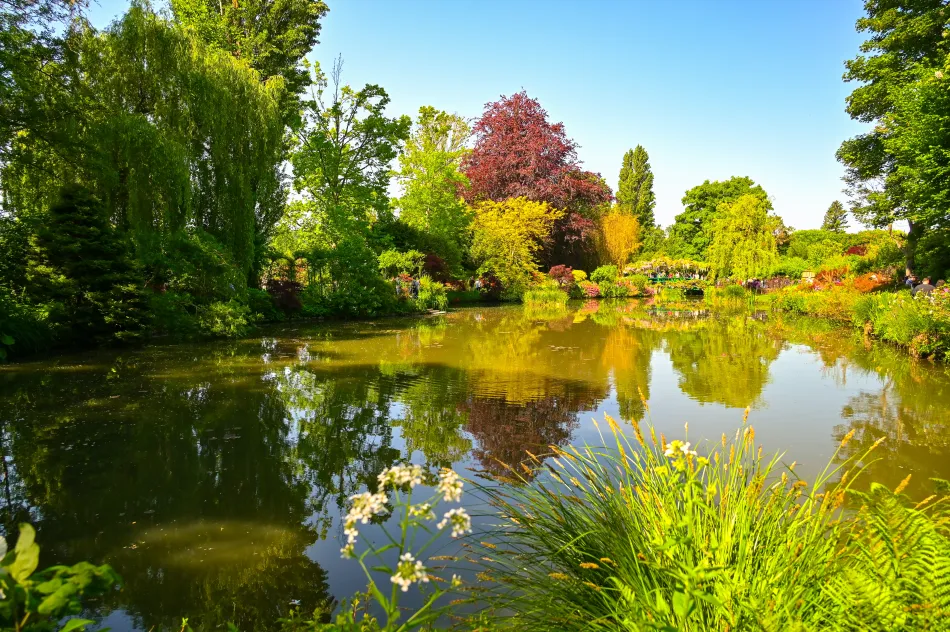 法國-吉維尼-莫內花園的水花園
