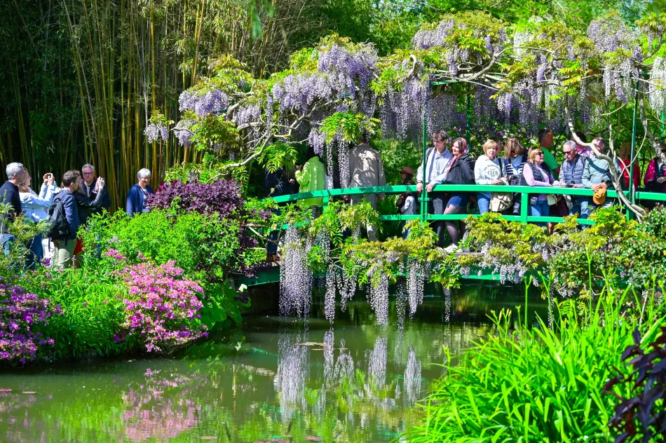 法國-吉維尼-莫內花園的水花園