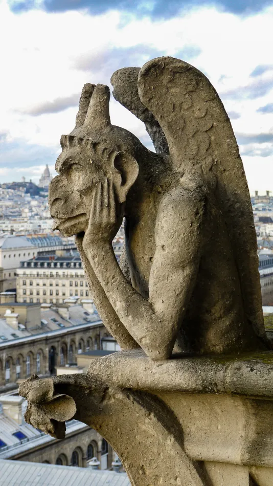 法國-巴黎-巴黎聖母院