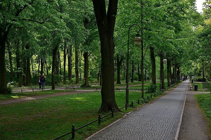 德國-柏林-蒂爾加藤公園（Großer Tiergarten）