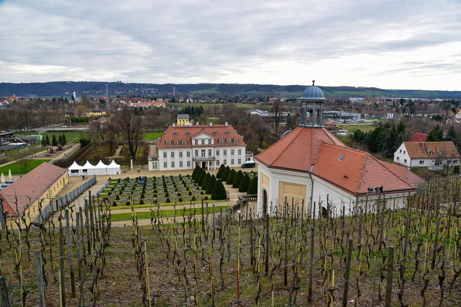 德國-德勒斯登-Schloss-Wackerbarth