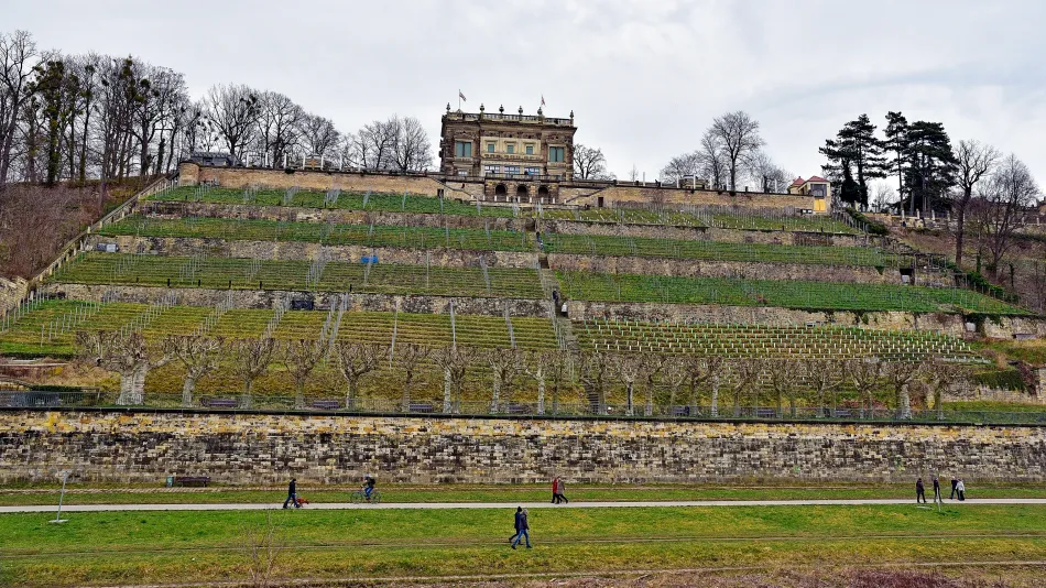 德國-德勒斯登-易北河遊船