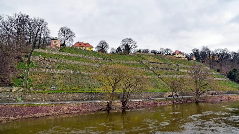 德國-德勒斯登-易北河遊船