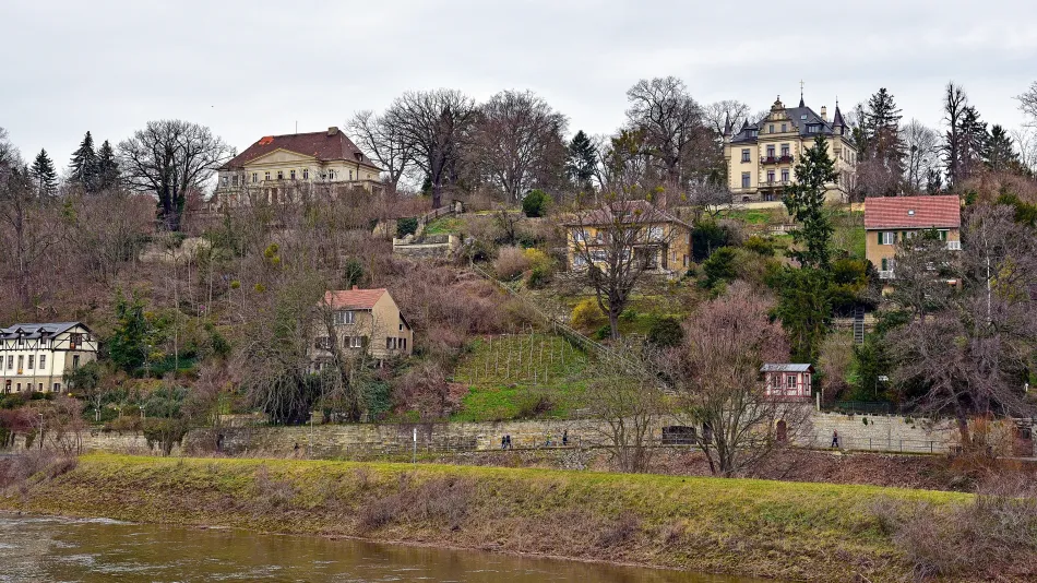德國-德勒斯登-易北河遊船