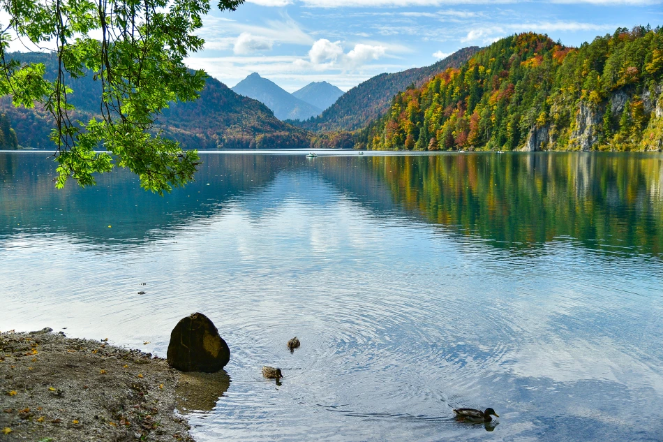 德國-施萬高-Alpsee