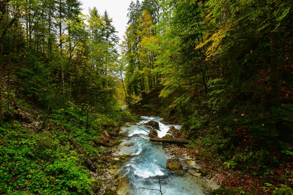 德國-藍紹-Wimbachbrücke 峽谷