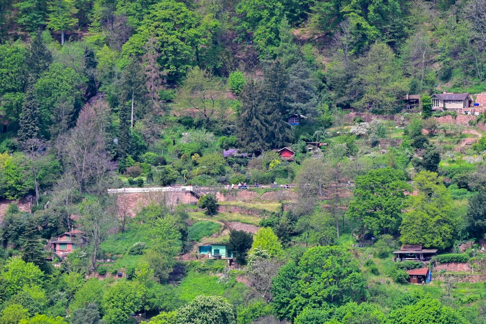 德國-海德堡城堡