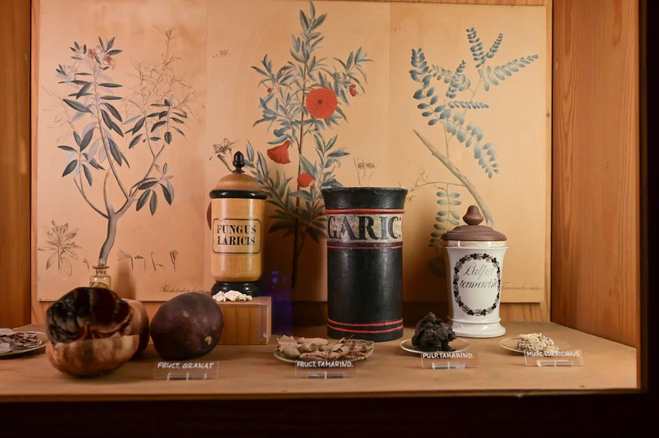 德國-海德堡-德國藥事博物館