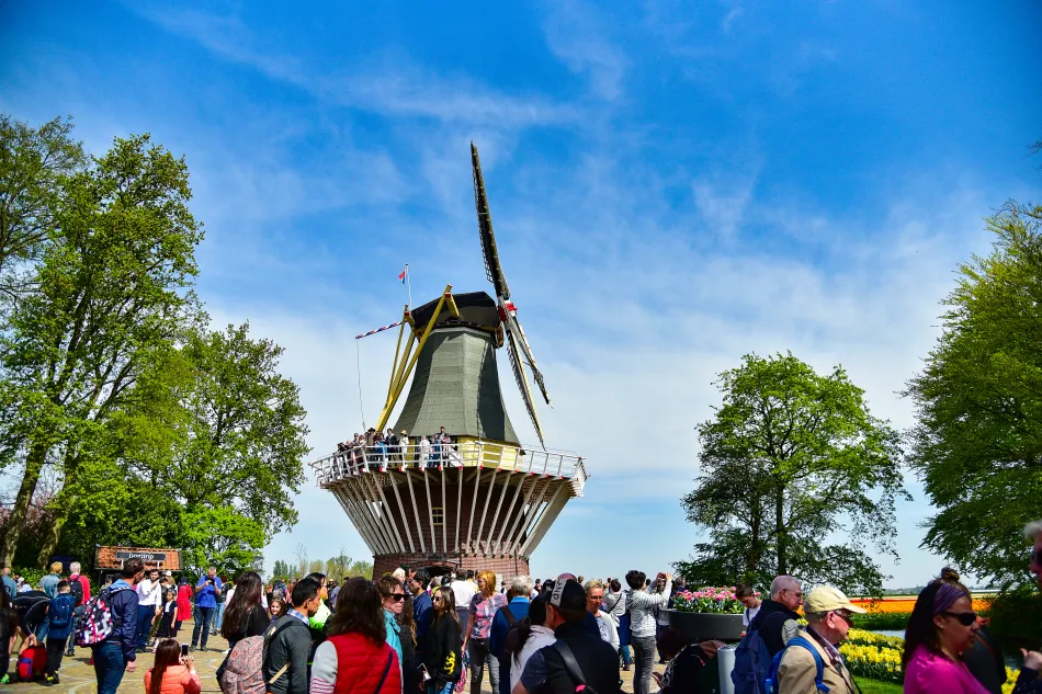 荷蘭-庫肯霍夫花園鬱金香