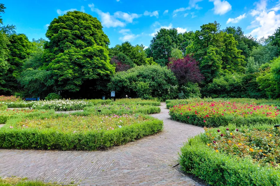 荷蘭-阿姆斯特丹-馮德爾公園