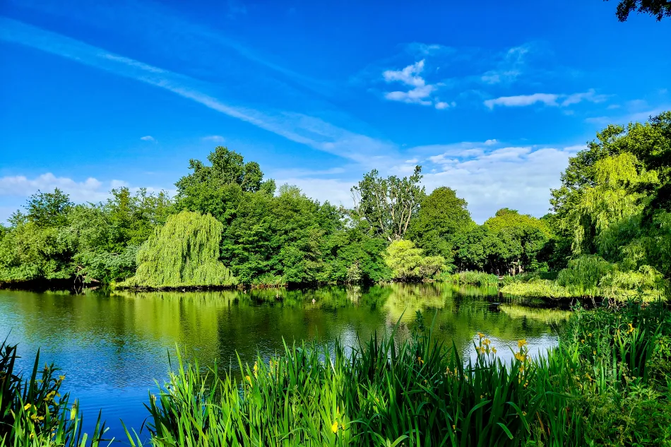 荷蘭-阿姆斯特丹-馮德爾公園
