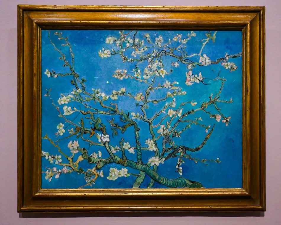 荷蘭-阿姆斯特丹-梵谷博物館-《盛開的杏花》