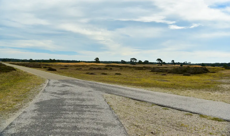 荷蘭-高費呂韋國家公園（梵谷森林）