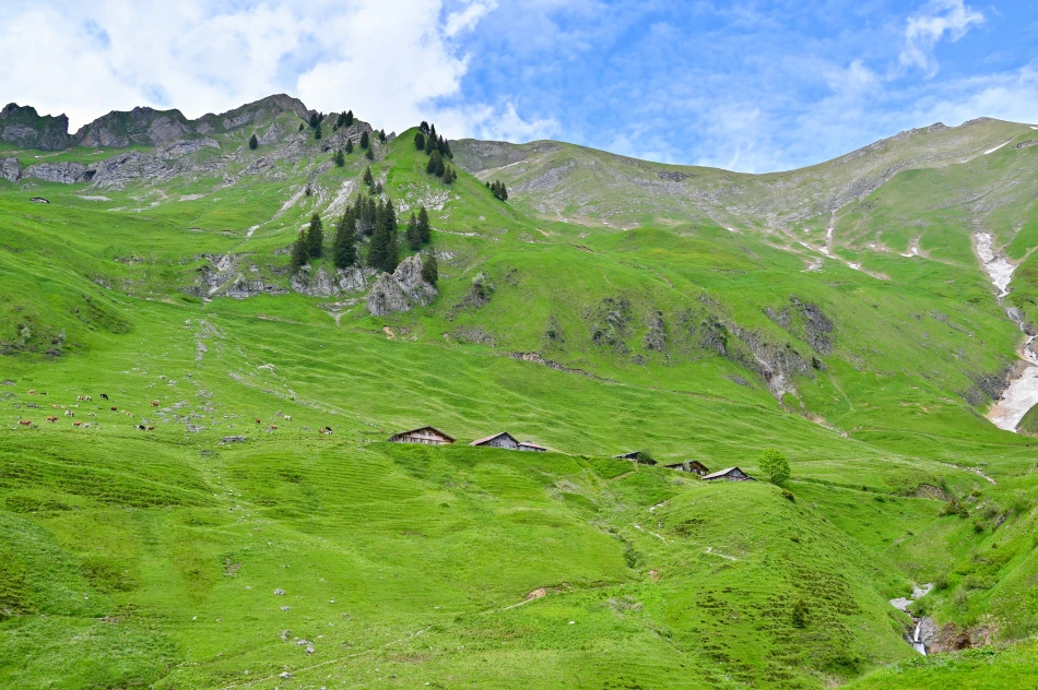 瑞士-布里恩茨-布里恩茨-洛特峰鐵道