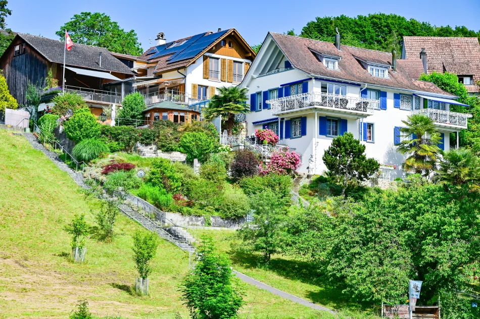 瑞士-萊茵瀑布遊船