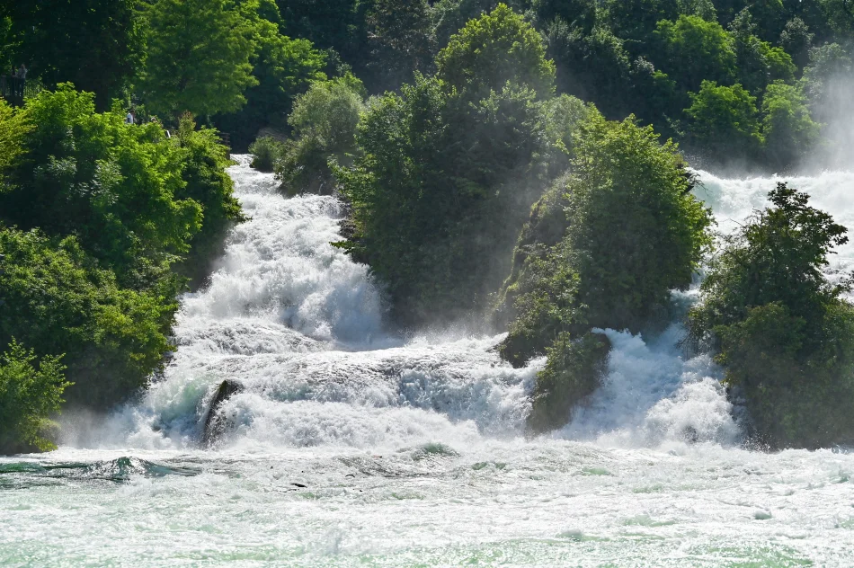 瑞士-萊茵瀑布遊船