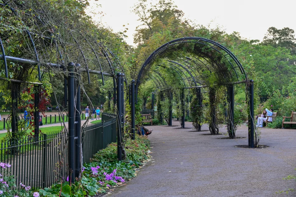 英國-倫敦-海德公園-玫瑰園